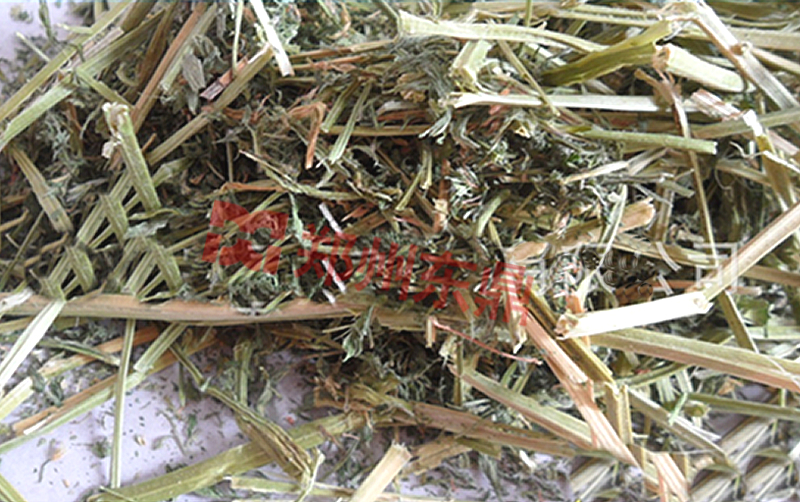 牧草烘干机现场