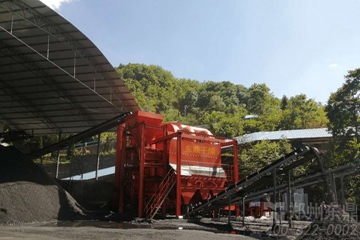 贵州老虎田煤矿DDFGX-12煤炭风选设备