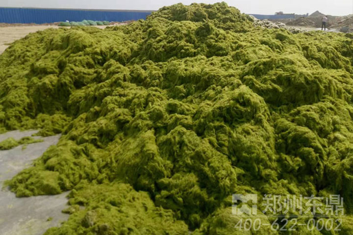 浒苔烘干机现场